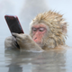 Illustration for article titled The Competition Is Fierce For This Years Best Wildlife Photographer